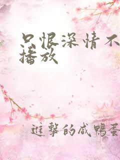 只恨深情不识鸢播放