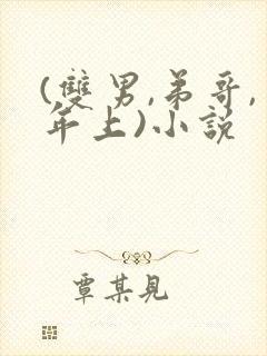 (双男,弟哥,年上)小说