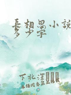 长相思小说原著多少字