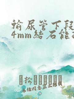 输尿管下段0.4mm结石能排出吗