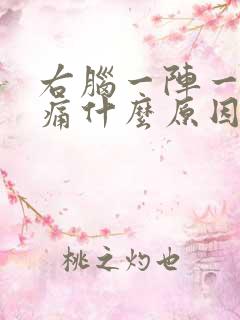 右脑一阵一阵疼痛什么原因