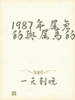 1987年属兔的与属马的合不合婚
