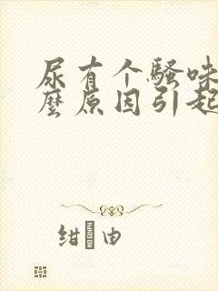 尿有个骚味是什么原因引起的