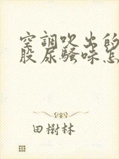 空调吹出的风有股尿骚味怎么回事