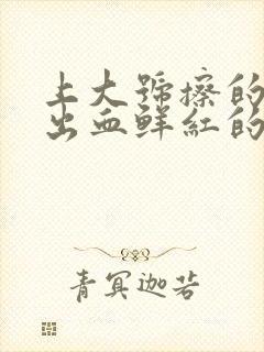 上大号擦的时候出血鲜红的血