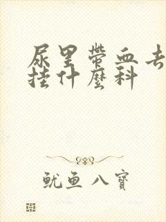 尿里带血去医院挂什么科