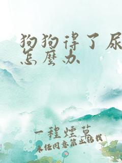 狗狗得了尿结石怎么办