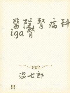 医院肾病科治疗iga肾