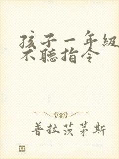 孩子一年级上课不听指令