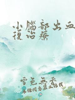 小脑部出血后康复治疗