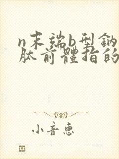 n末端b型钠尿肽前体指的是什么