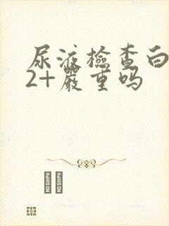 尿液检查白细胞2+严重吗