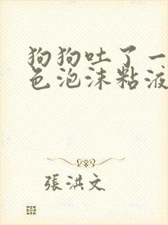 狗狗吐了一滩白色泡沫粘液