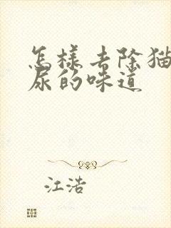 怎样去除猫尿狗尿的味道