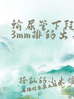 输尿管下段结石3mm排的出来吗