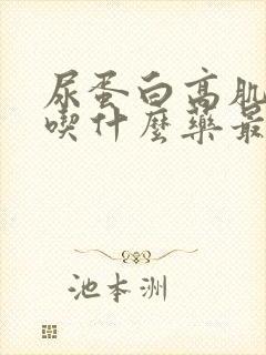 尿蛋白高肌酐高吃什么药最好