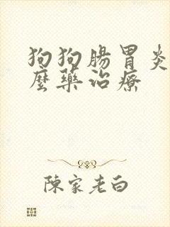 狗狗肠胃炎用什么药治疗