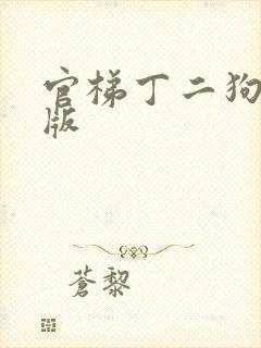 官梯丁二狗完整版