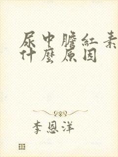 尿中胆红素高是什么原因