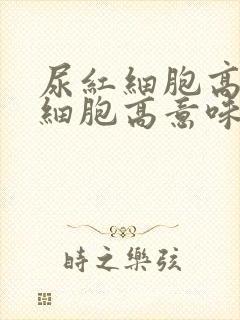 尿红细胞高尿白细胞高意味着什么