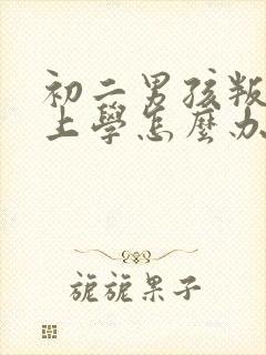 初二男孩叛逆不上学怎么办