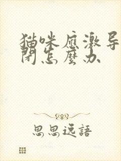 猫咪应激导致尿闭怎么办