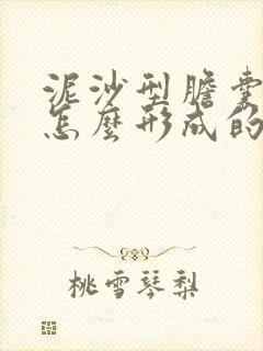 泥沙型胆囊结石怎么形成的