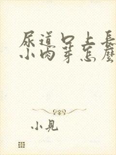 尿道口上长了个小肉芽怎么回事