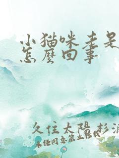 小猫咪老是踩奶怎么回事