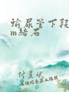 输尿管下段7mm结石