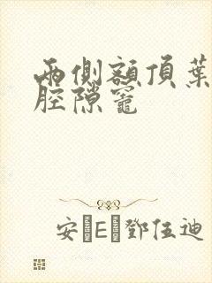 两侧额顶叶缺血腔隙灶