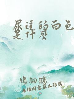 尿道的白色东西是什么