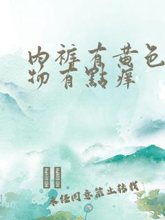 内裤有黄色分泌物有点痒