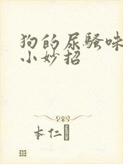 狗的尿骚味去除小妙招