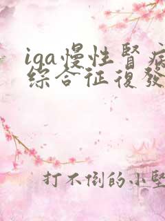 iga慢性肾病综合征复发治疗