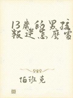 13岁的男孩子叛逆怎么处理