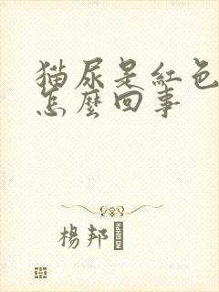 猫尿是红色的是怎么回事