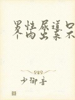 男性尿道口长了个肉出来不疼不痒