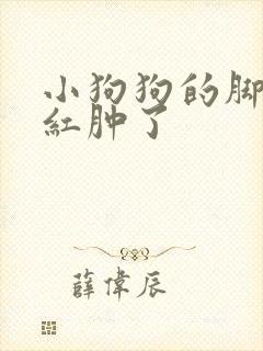 小狗狗的脚趾头红肿了