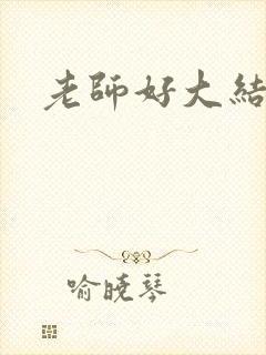 老师好大结局