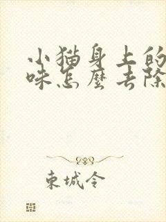 小猫身上的尿骚味怎么去除