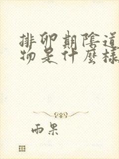 排卵期阴道分泌物是什么样的