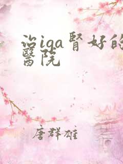 治iga肾好的医院