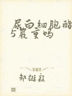 尿白细胞酯酶25严重吗