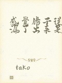 感觉肠子从肛门漏了出来是什么情况