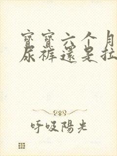 宝宝六个月用纸尿裤还是拉拉裤