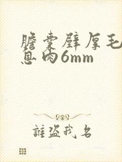 胆囊壁厚毛糙胆息肉6mm