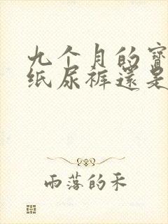 九个月的宝宝穿纸尿裤还是拉拉裤