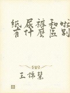 纸尿裤和啦啦裤有什么区别