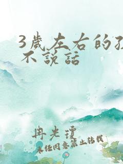 3岁左右的孩子不说话